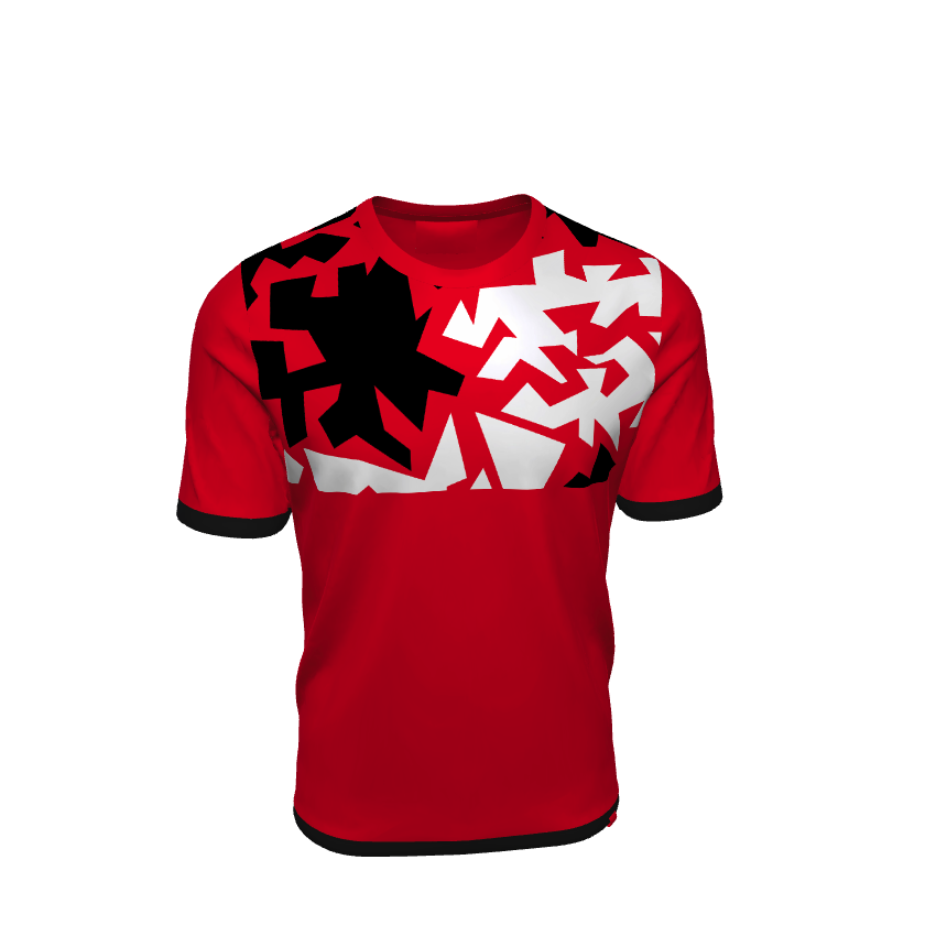 Design 2